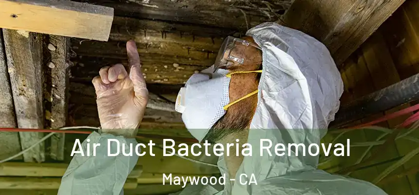  Air Duct Bacteria Removal Maywood - CA