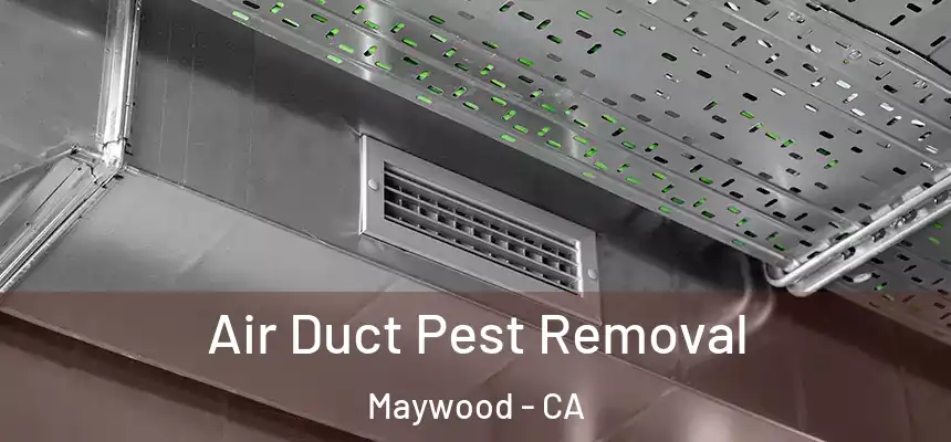  Air Duct Pest Removal Maywood - CA