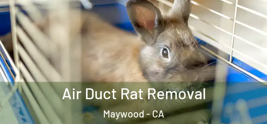  Air Duct Rat Removal Maywood - CA
