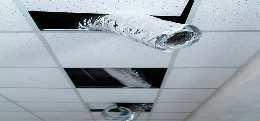 Affordable HVAC Sanitizing After Pest Removal in Maywood