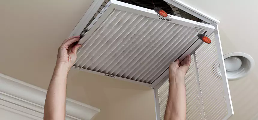 Our Insect Removal from Air Ducts Services in Maywood, CA