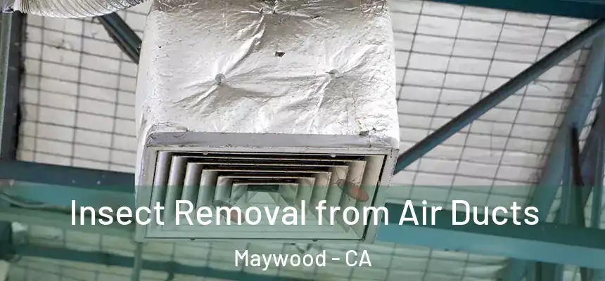  Insect Removal from Air Ducts Maywood - CA