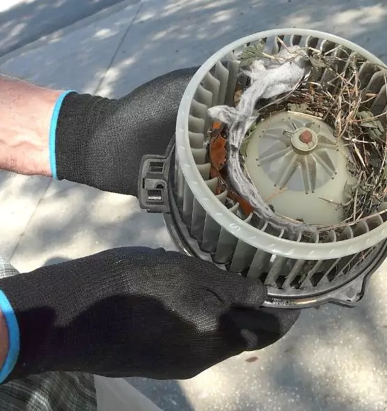 About Air Duct Rat Removal in Maywood, CA