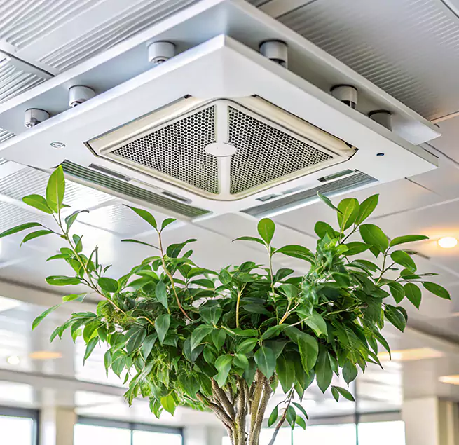 Why Homeowners & Businesses Trust Us in Maywood, CA